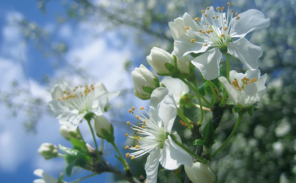 Good News Break | April