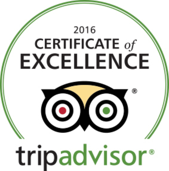 TripAdvisor